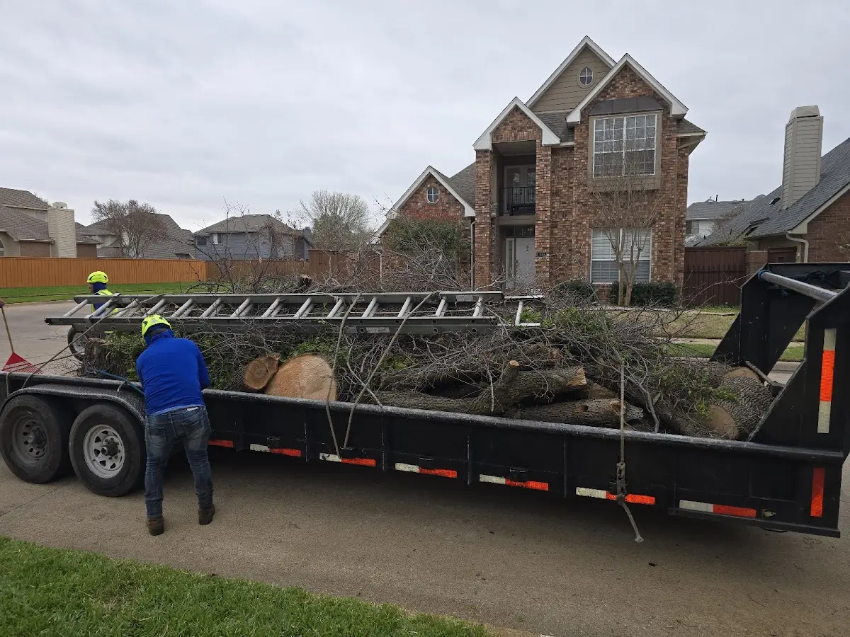 Expert Tree Removal with proper safety equipment in Purdin